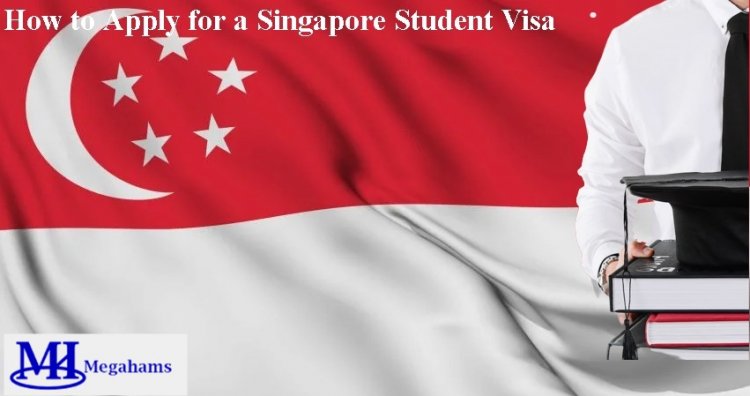 How to Apply for a Singapore Student Visa
