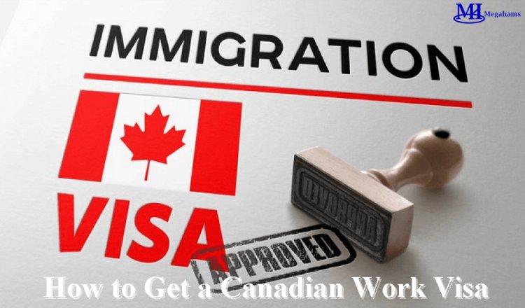 How to Get a Canadian Work Visa: A Guide For Newcomers