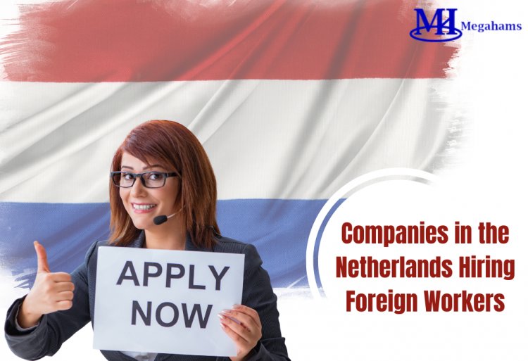 Companies in the Netherlands Hiring Foreigners