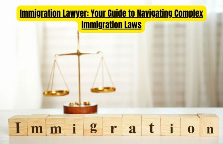 Immigration Lawyer: Your Guide to Navigating Complex Immigration Laws