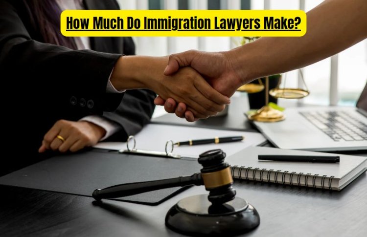 How Much Do Immigration Lawyers Make?