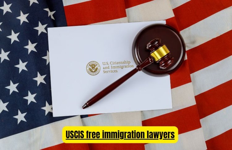 Navigating Immigration Challenges with USCIS Free Immigration Lawyers